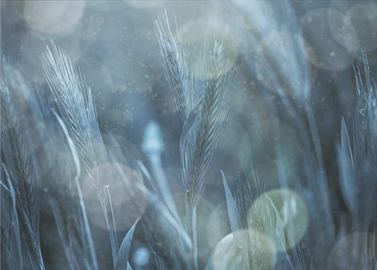 Naturaleza fantástica | Papel Pintado Fotográfico