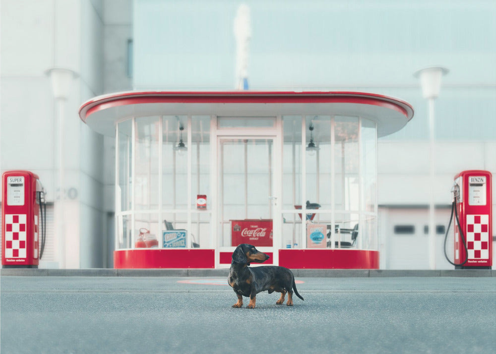 Huoltoaseman hoitaja | Valokuvatapetit