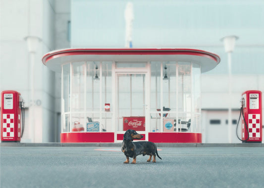 Huoltoaseman hoitaja | Valokuvatapetit