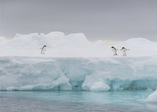 Näyttämö | Valokuvatapetit