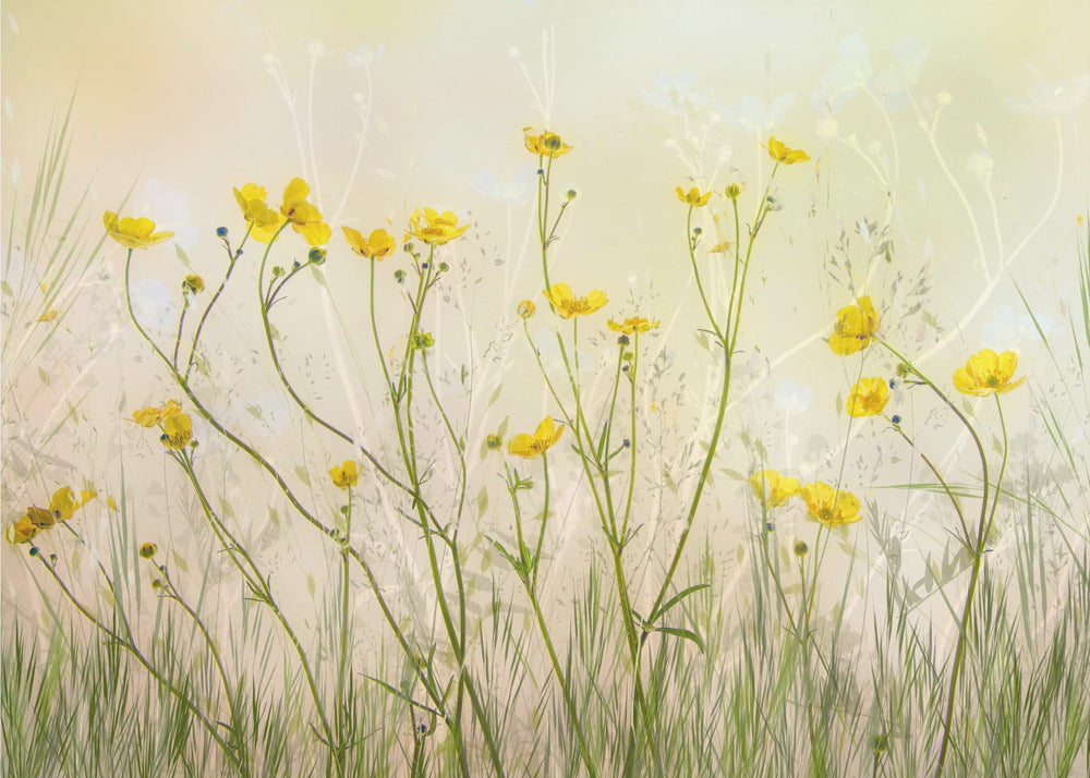 Hyvää huomenta! | Valokuvatapetit