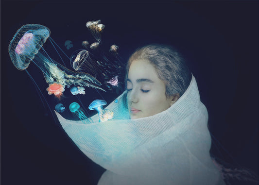 Jellyfish - The Queen of the sea | Canvas