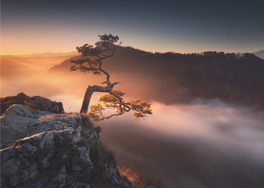 Sokolica | Valokuvatapetit