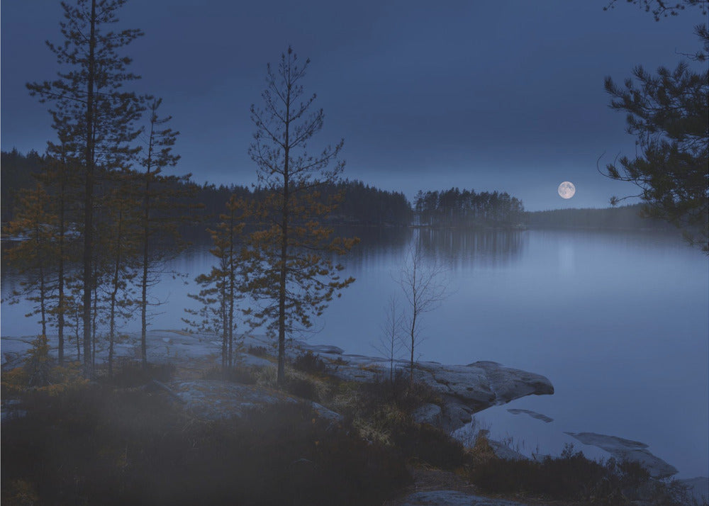 Yön usva | Valokuvatapetit