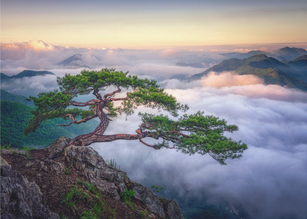 Kalliolla | Valokuvatapetit