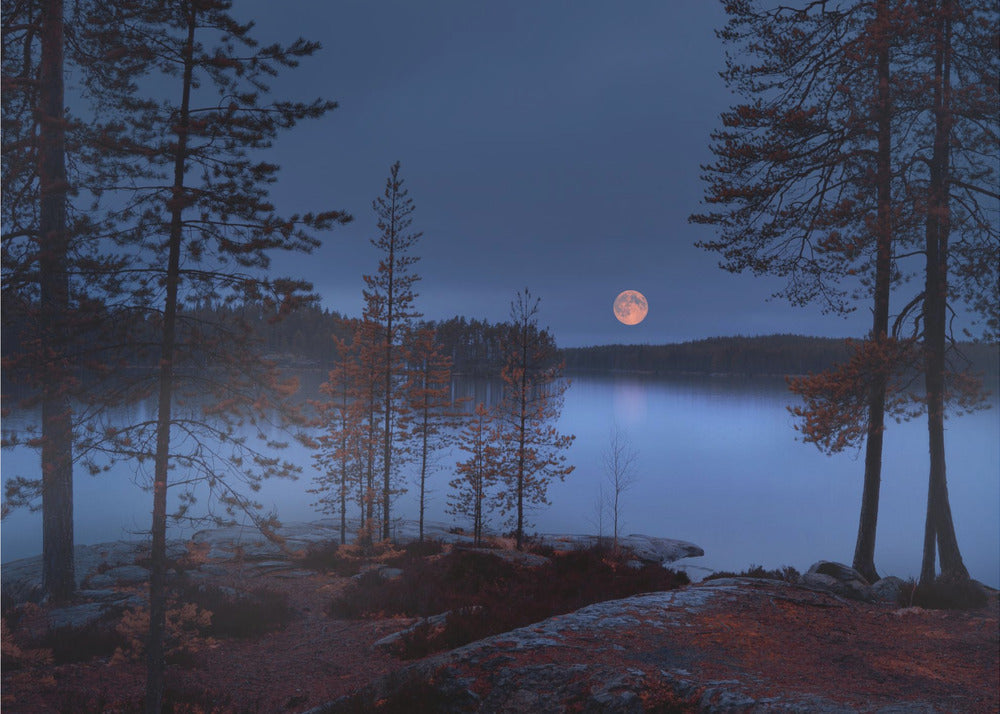 Punainen Kuu | Valokuvatapetit