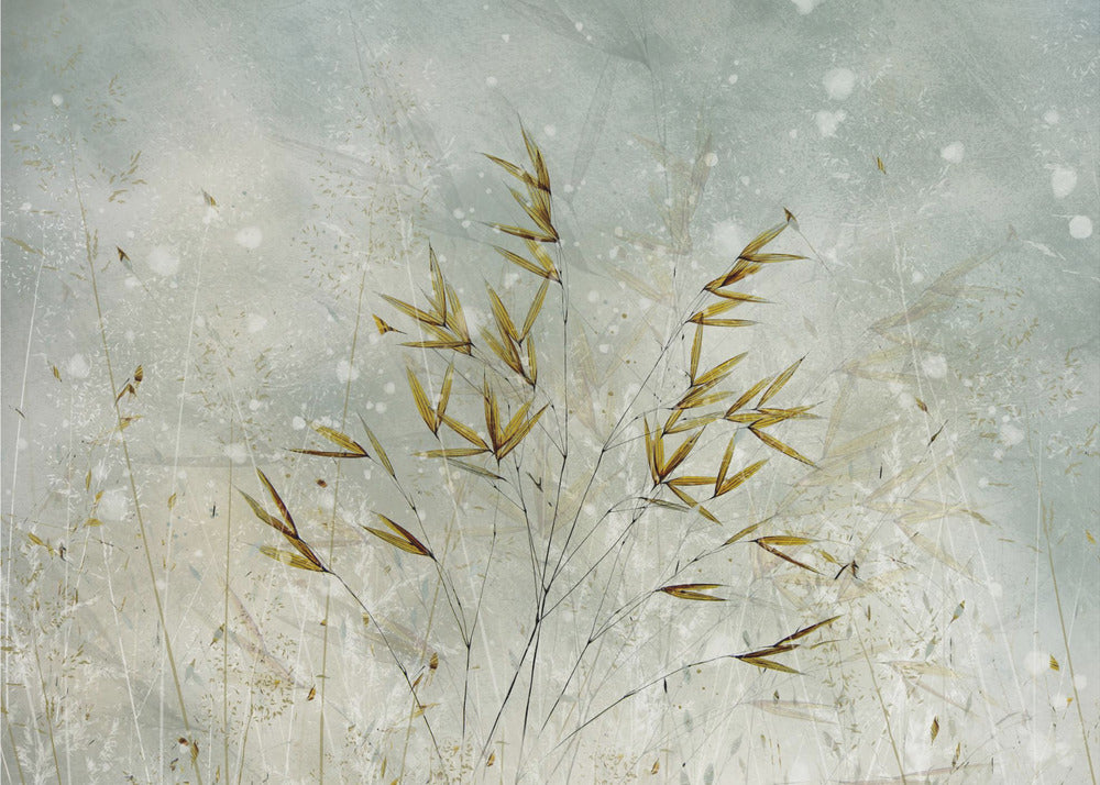 Talviaika | Valokuvatapetit