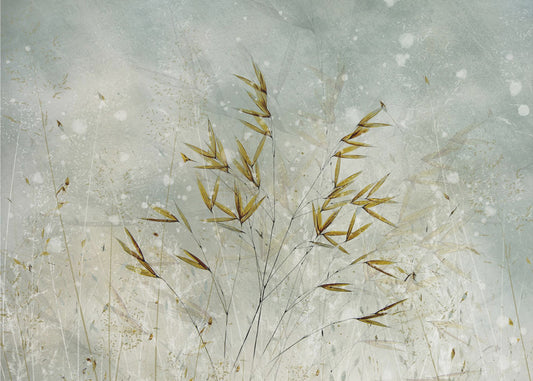 Talviaika | Valokuvatapetit