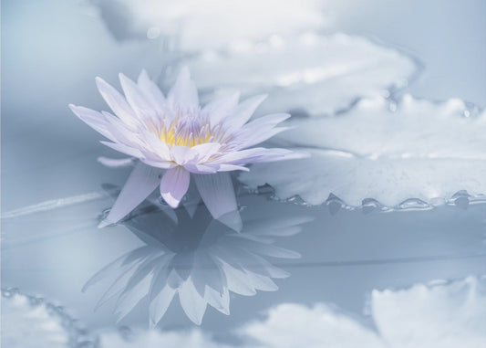 Heijastus | Valokuvatapetit