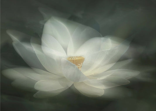 Huojunta | Valokuvatapetit