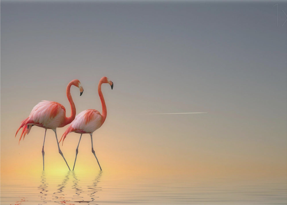 Tyyneys II | Valokuvatapetit