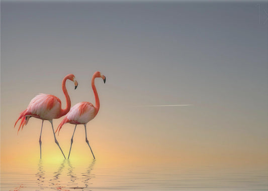 Serenidad II | Papel Pintado Fotográfico