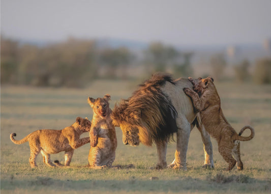 Isä ja lapset | Valokuvatapetit