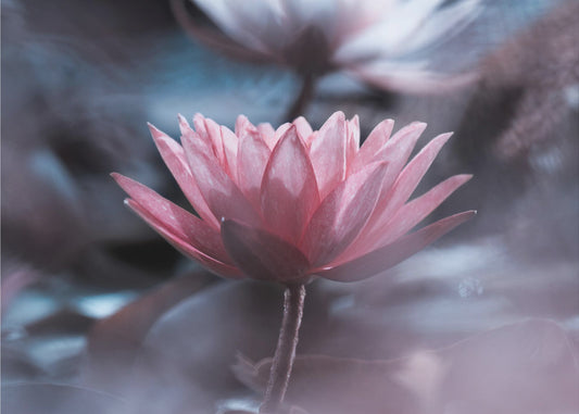 Hiljaisuus | Valokuvatapetit