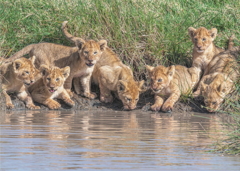 Bändin kokoaminen uudelleen... | Valokuvatapetit
