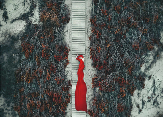 Karmiininpunainen polku | Canvastaulut