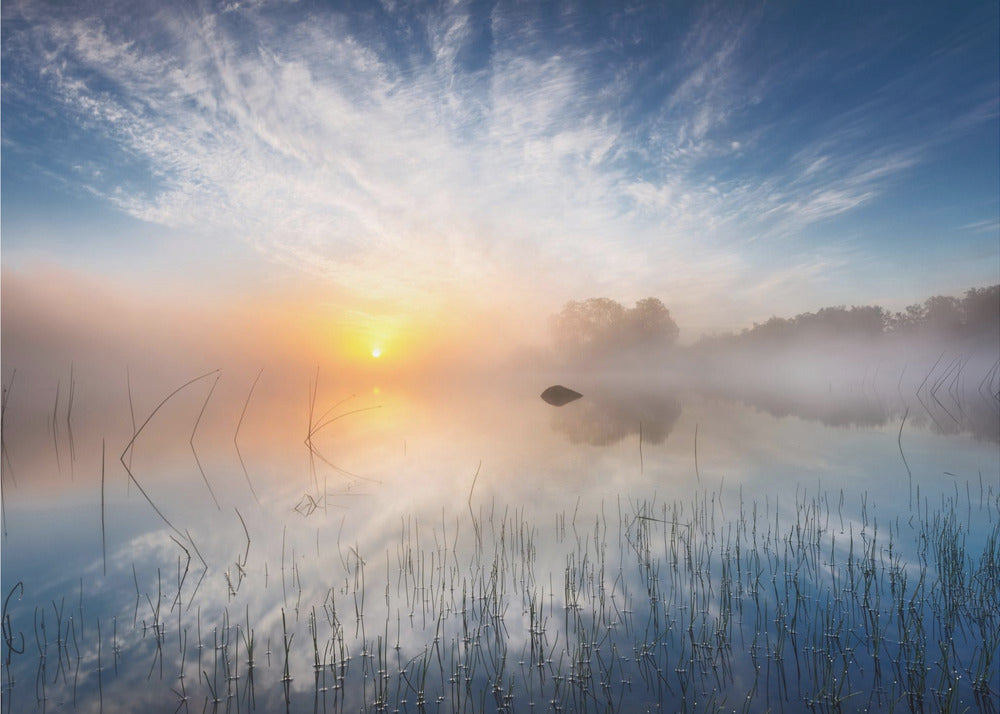 Odbicie | Plakaty - Wydruki Artystyczne