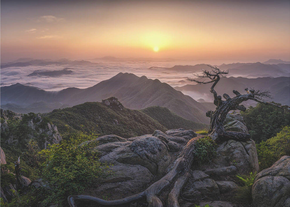 Auringonnousu huipulla | Valokuvatapetit