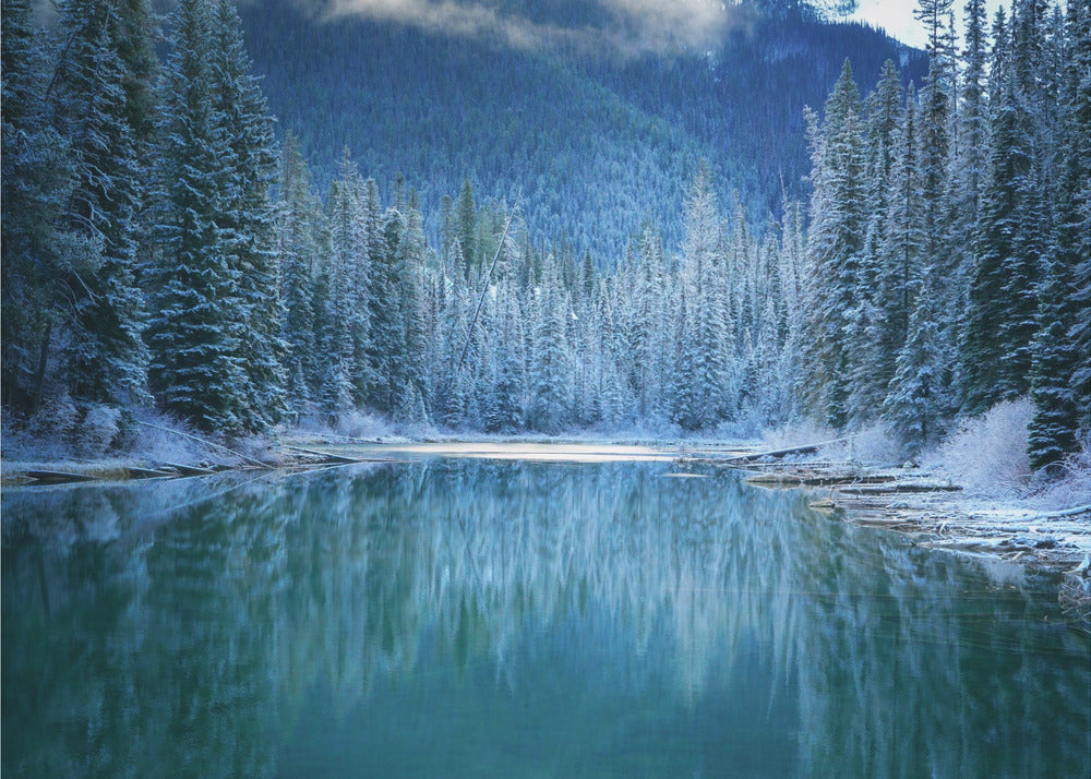 Ihmeellinen talvimaa | Valokuvatapetit