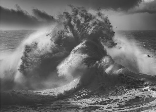 POSEIDON MAJESTEETTI (Osa 4) | Valokuvatapetit