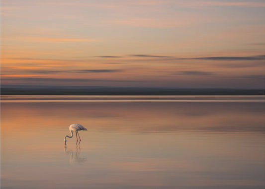 S.T. 004 | Valokuvatapetit