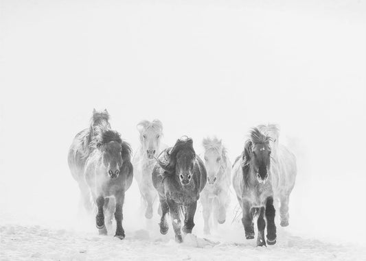 Juokseminen lumessa | Valokuvatapetit