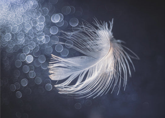 Tyyneys | Valokuvatapetit