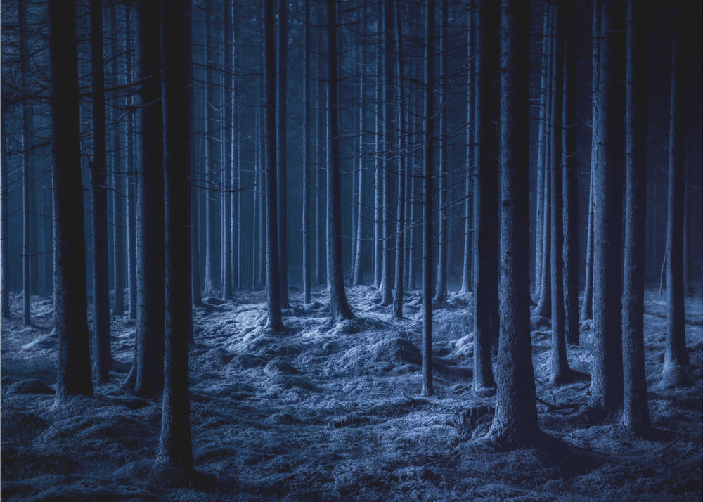 Aavemainen | Valokuvatapetit