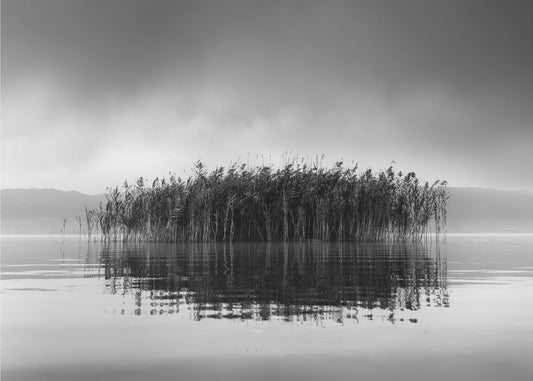 Volvi-järvi VII | Valokuvatapetit