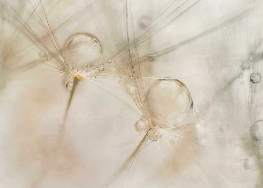 Vesivärit | Valokuvatapetit