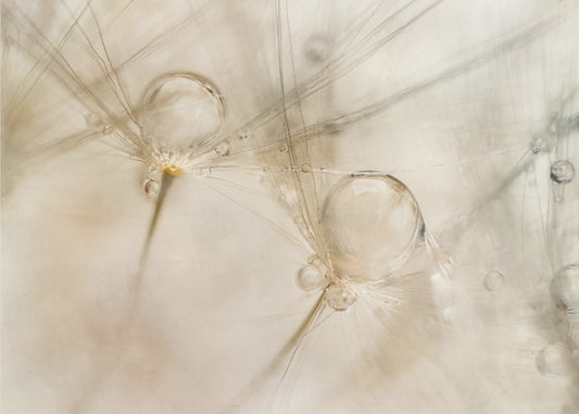 Vesivärit | Valokuvatapetit