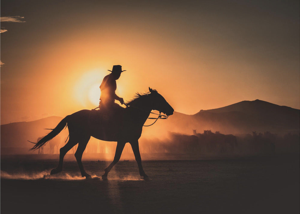 Sin título | Impresiones en Lienzo