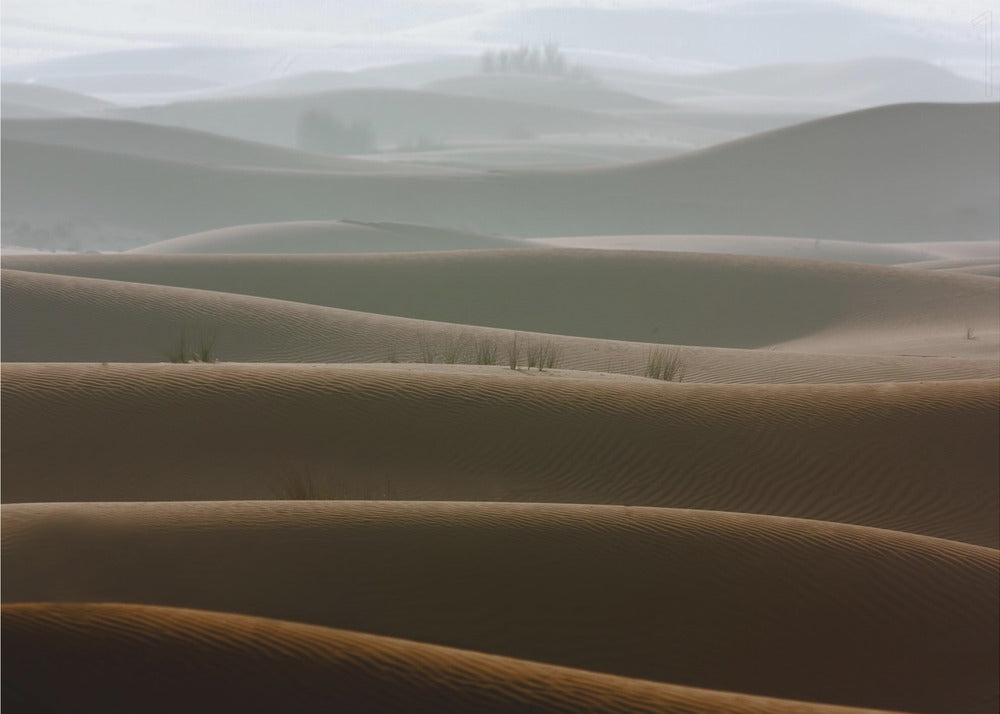 Sumuinen aamu | Canvastaulut