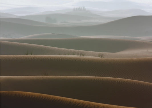 Mglisty poranek | Wydruki na łótnie