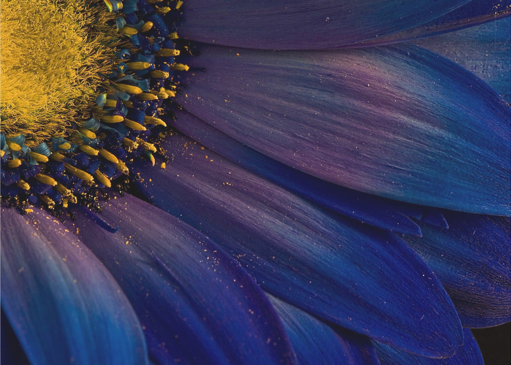 Rayos azules | Posters  - Impresiones de Arte