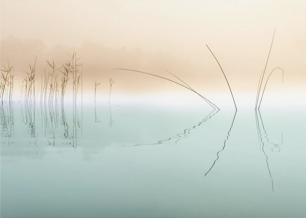 Hiljaisuus | Valokuvatapetit