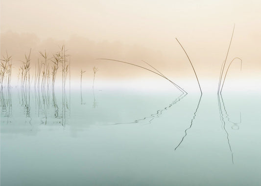 Hiljaisuus | Valokuvatapetit