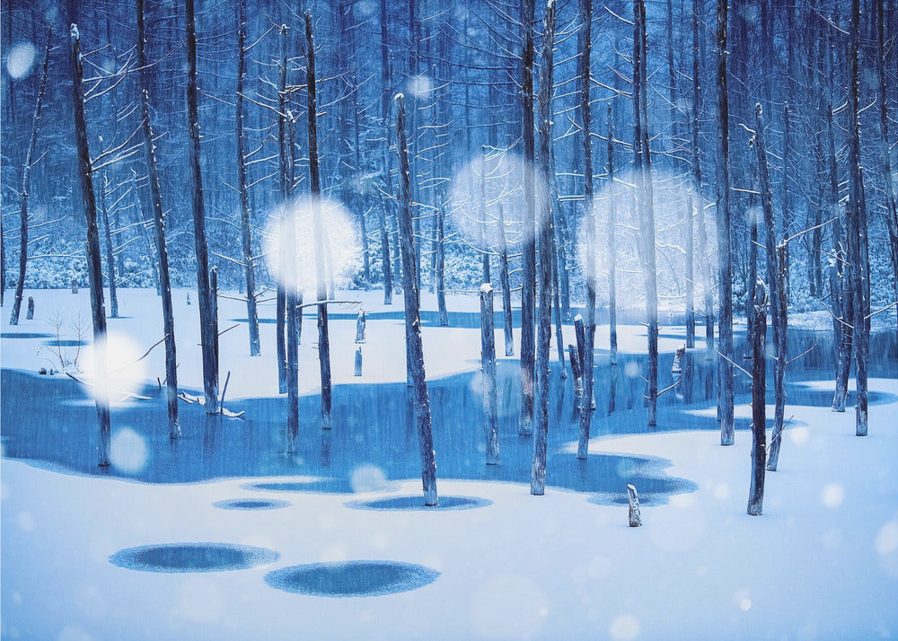 Märchenland | Fototapeten