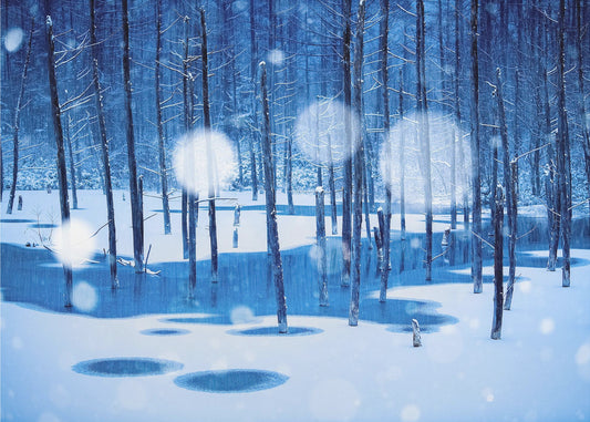 Satumaa | Valokuvatapetit