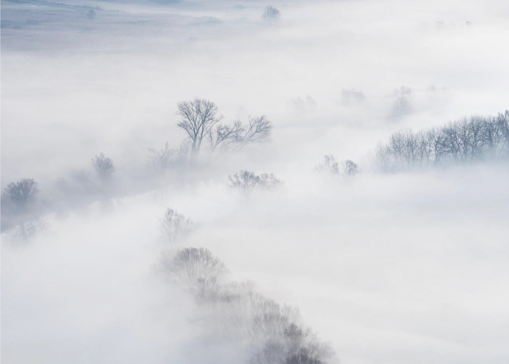 Talvi | Valokuvatapetit