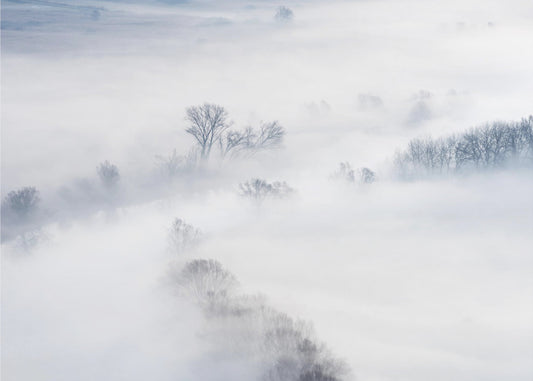 Talvi | Valokuvatapetit
