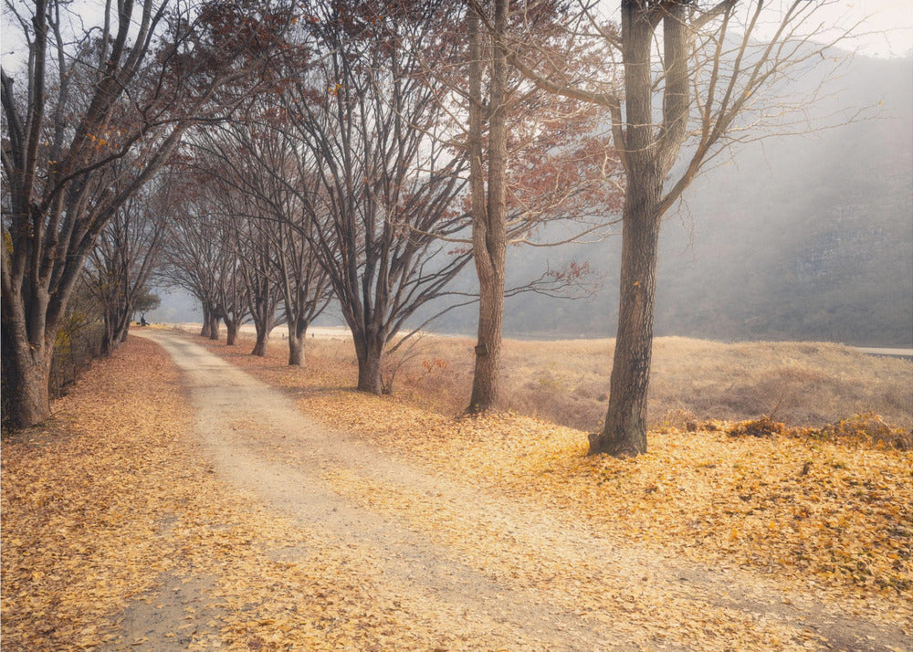 Nel mezzo dell'autunno | Stampe su Tela