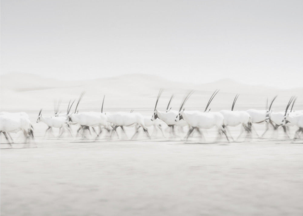 Movimiento | Papel Pintado Fotográfico