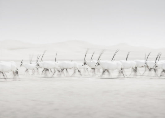 Movimento | Carta da Parati Fotografica