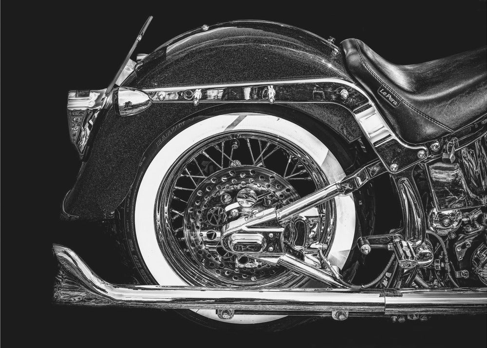 Harley | Impresiones en Lienzo