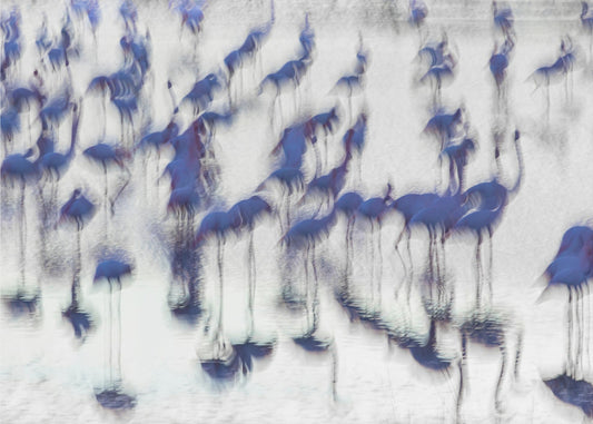 Impressioni sensoriali | Carta da Parati Fotografica