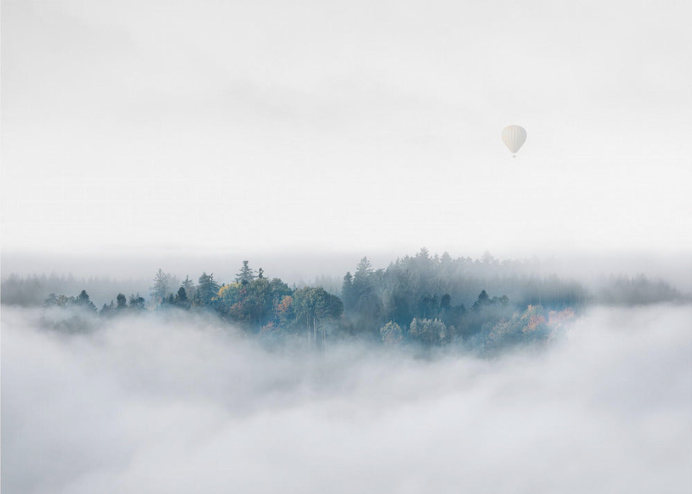 Sumuisen Aamun Yllätys | Valokuvatapetit