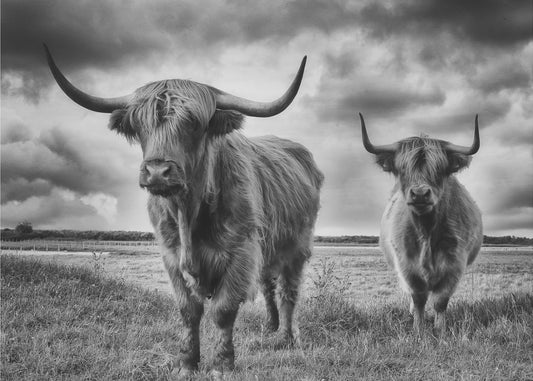 Tierras altas | Impresiones en Lienzo