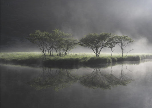 Fantasy Symbol Tree | Poster