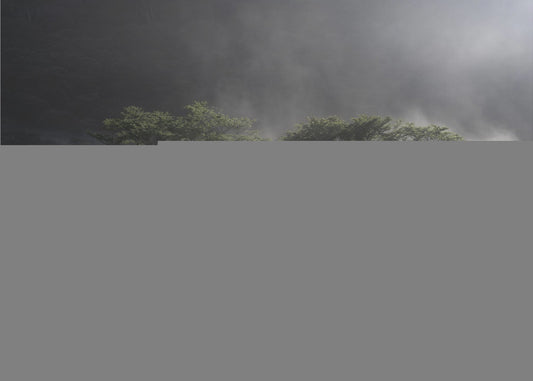 Fantasy Symbol Tree | Canvas